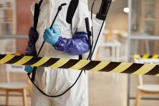 Professional Sewage Cleanup technician working in Berkeley, MO